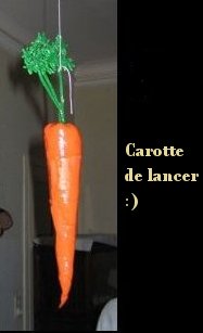 carotte